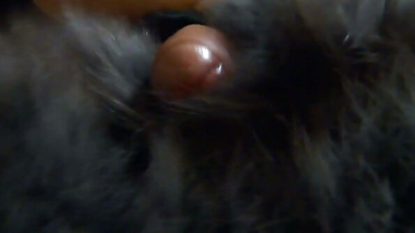 Karšta brunetė yra trise, ją pakliuvo du dideli vyrai